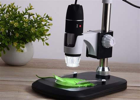 high magnification microscope|best microscope for the money.